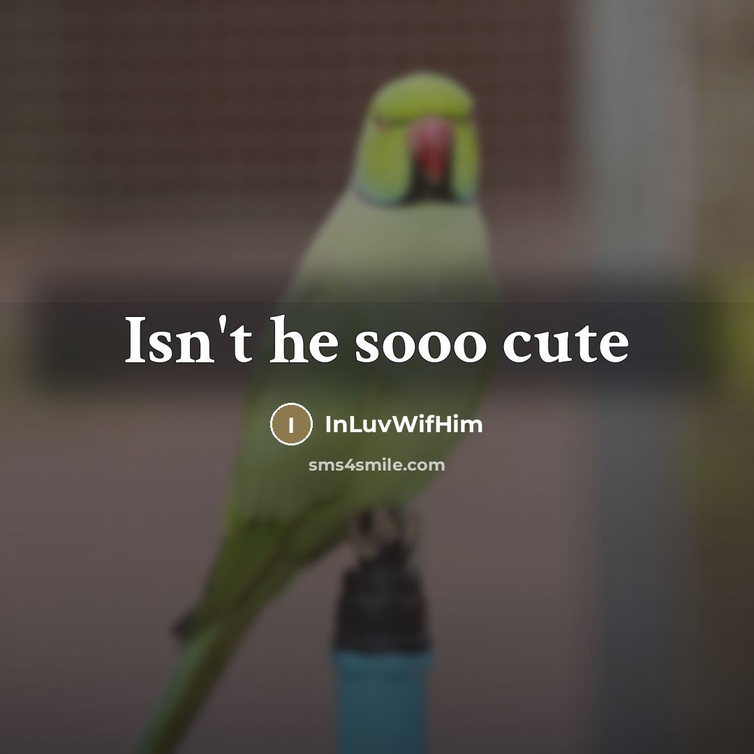 “Isn't he sooo cute…” quote by InLuvWifHim