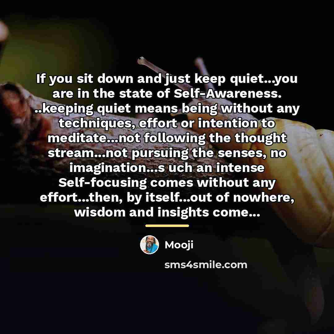 “If you sit down and just keep quiet...you are in…” quote by Mooji