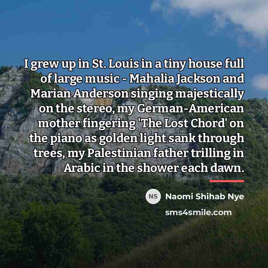 “I grew up in St. Louis in a tiny house…” quote by Naomi Shihab Nye