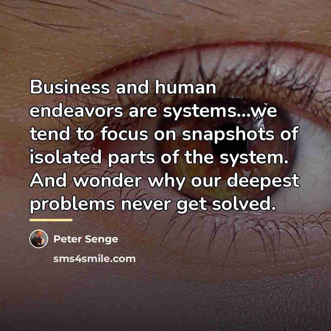 “Business and human endeavors are systems...we tend to focus on…” quote by Peter Senge