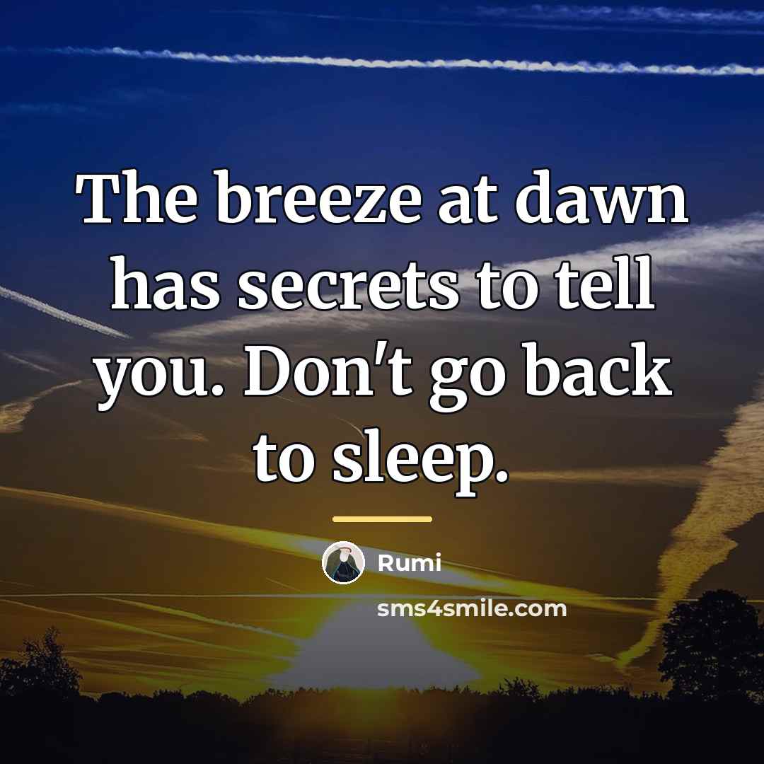 “The breeze at dawn has secrets to tell you. Don't…” quote by Rumi
