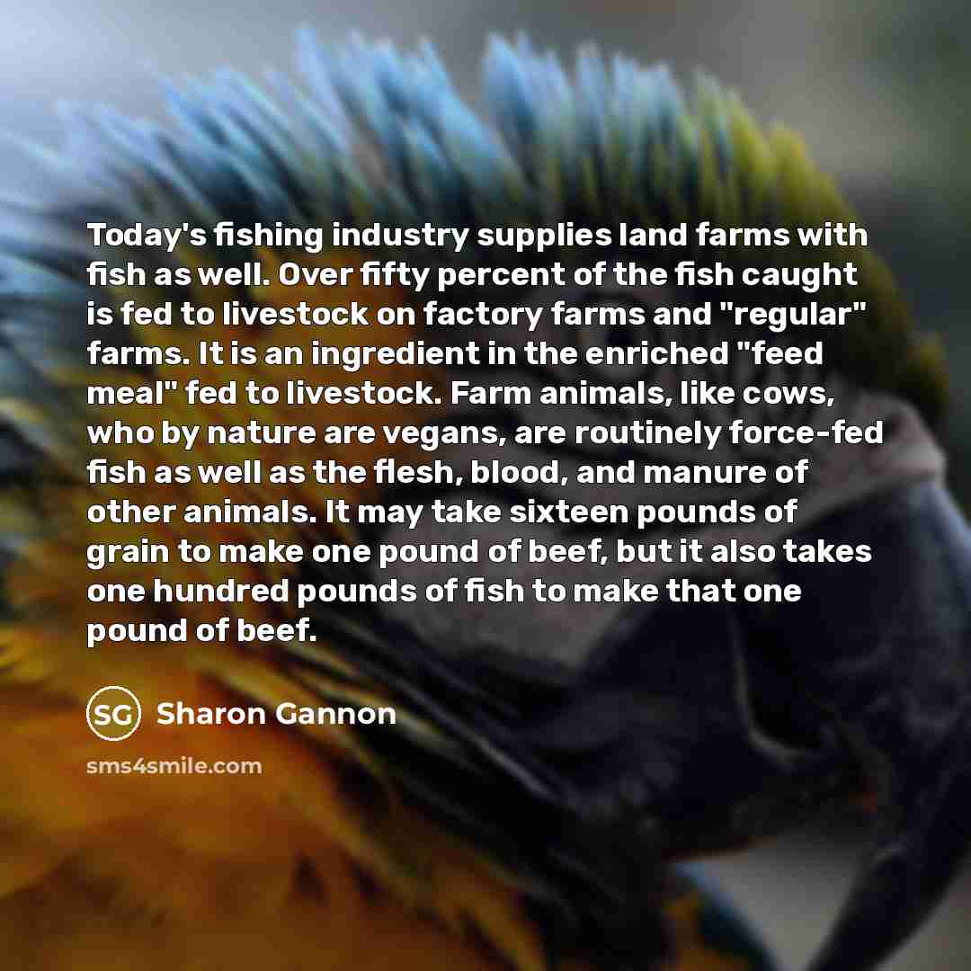 “Today's fishing industry supplies land farms with fish as well.…” quote by Sharon Gannon
