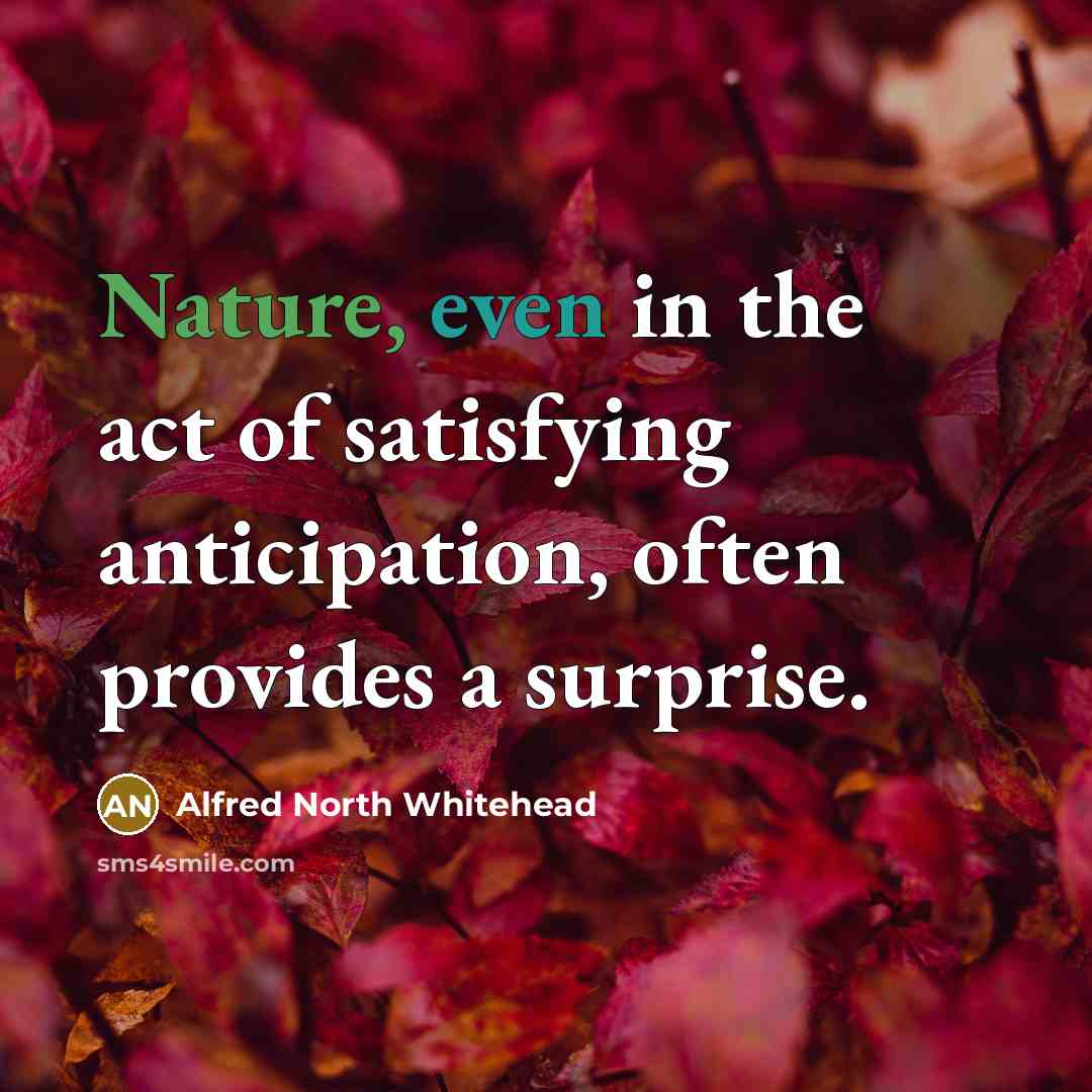 “Nature, even in the act of satisfying anticipation, often provides…” quote by Alfred North Whitehead