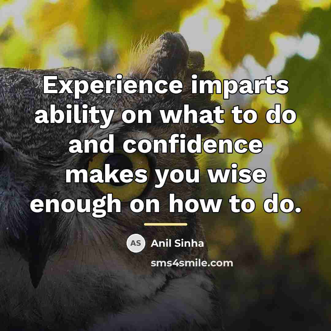 “Experience imparts ability on what to do and confidence makes…” quote by Anil Sinha