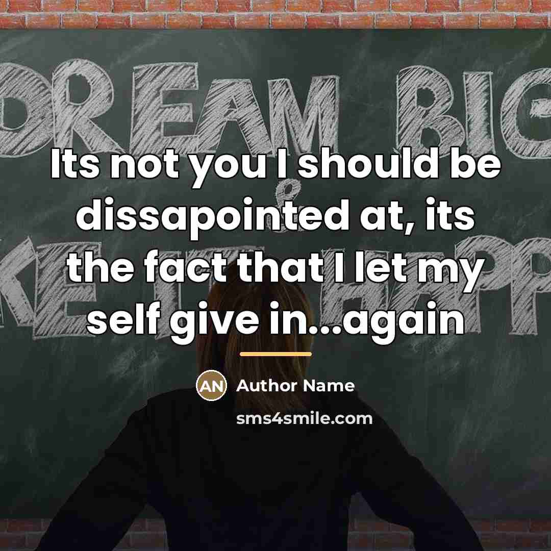 “Its not you I should be dissapointed at, its the…” quote by Author Name