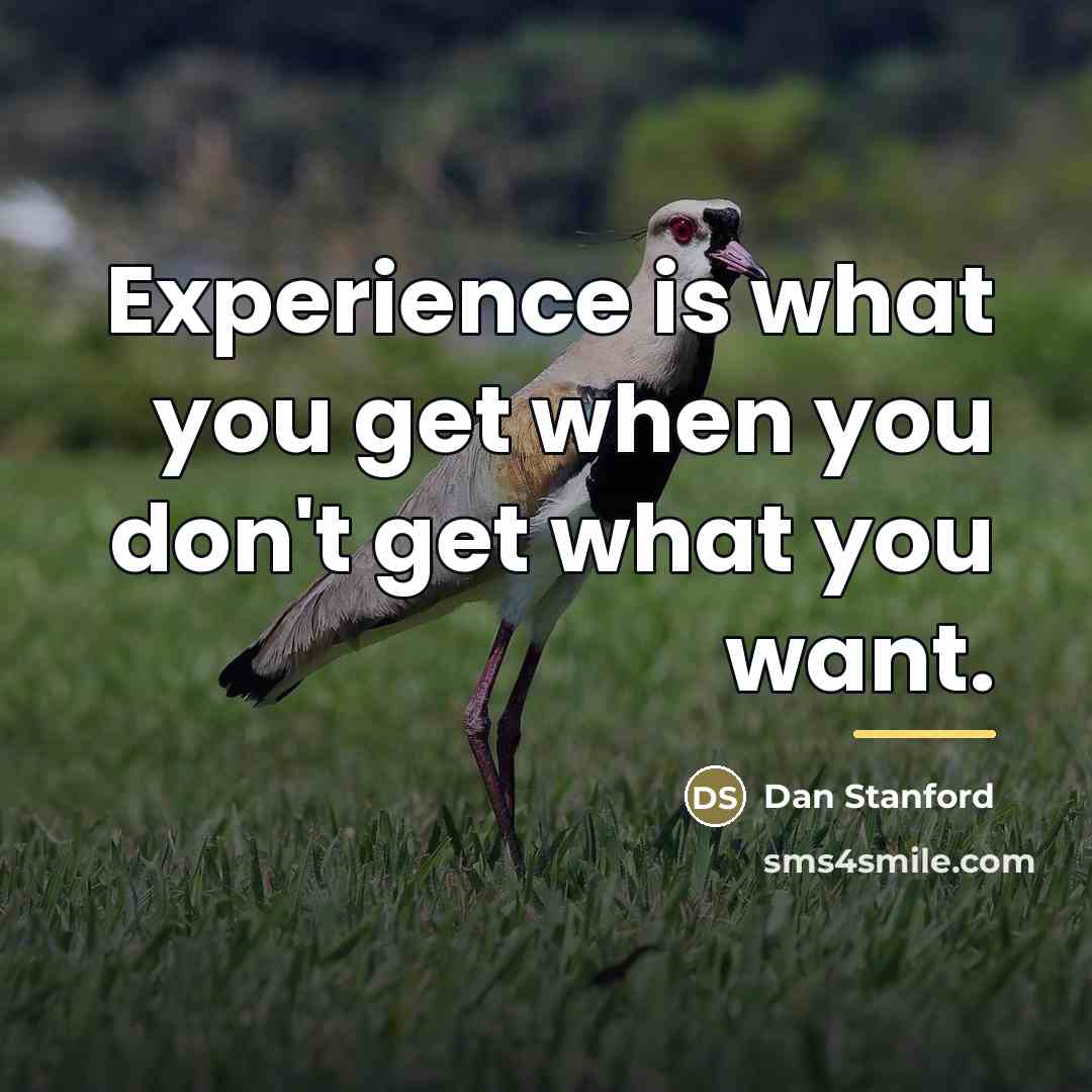 “Experience is what you get when you don't get what…” quote by Dan Stanford