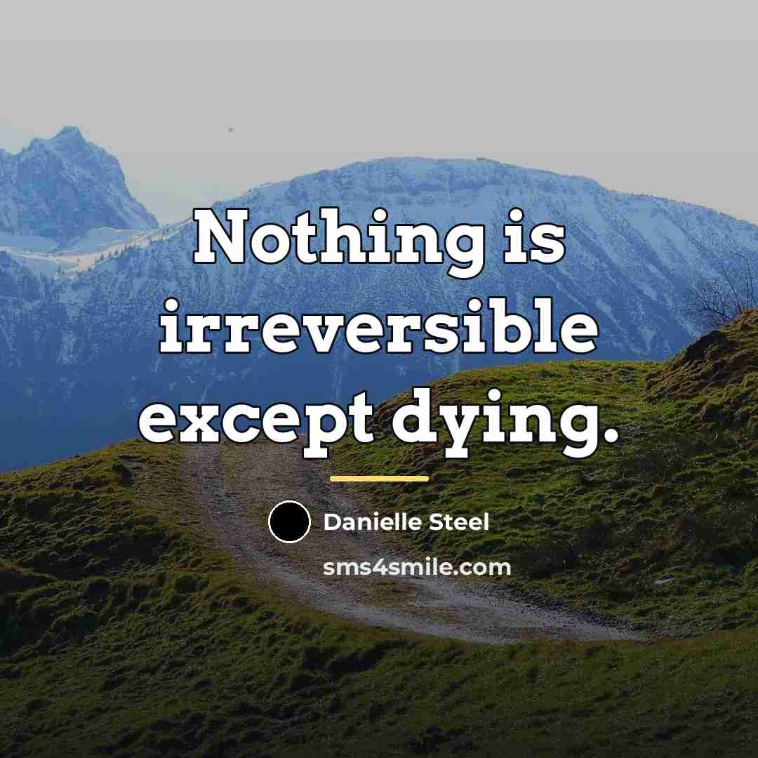 “Nothing is irreversible except dying.…” quote by Danielle Steel