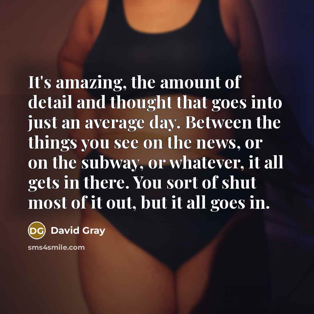 “It's amazing, the amount of detail and thought that goes into just an average day. Between the things you see on the news, or on the subway, or whatever, it all gets in there. You sort of shut most of it out, but it all goes in.” quote by David Gray