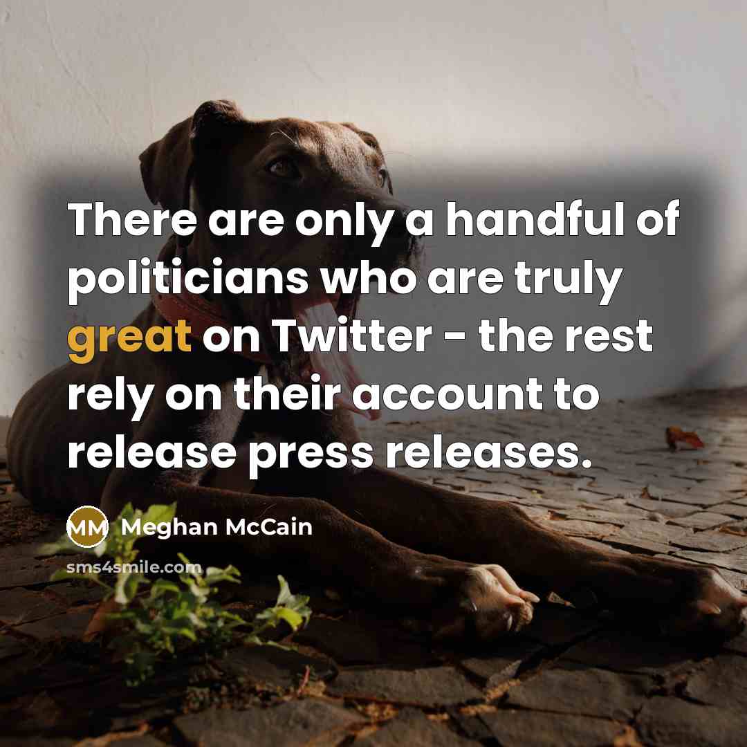 “There are only a handful of politicians who are truly…” quote by Meghan McCain