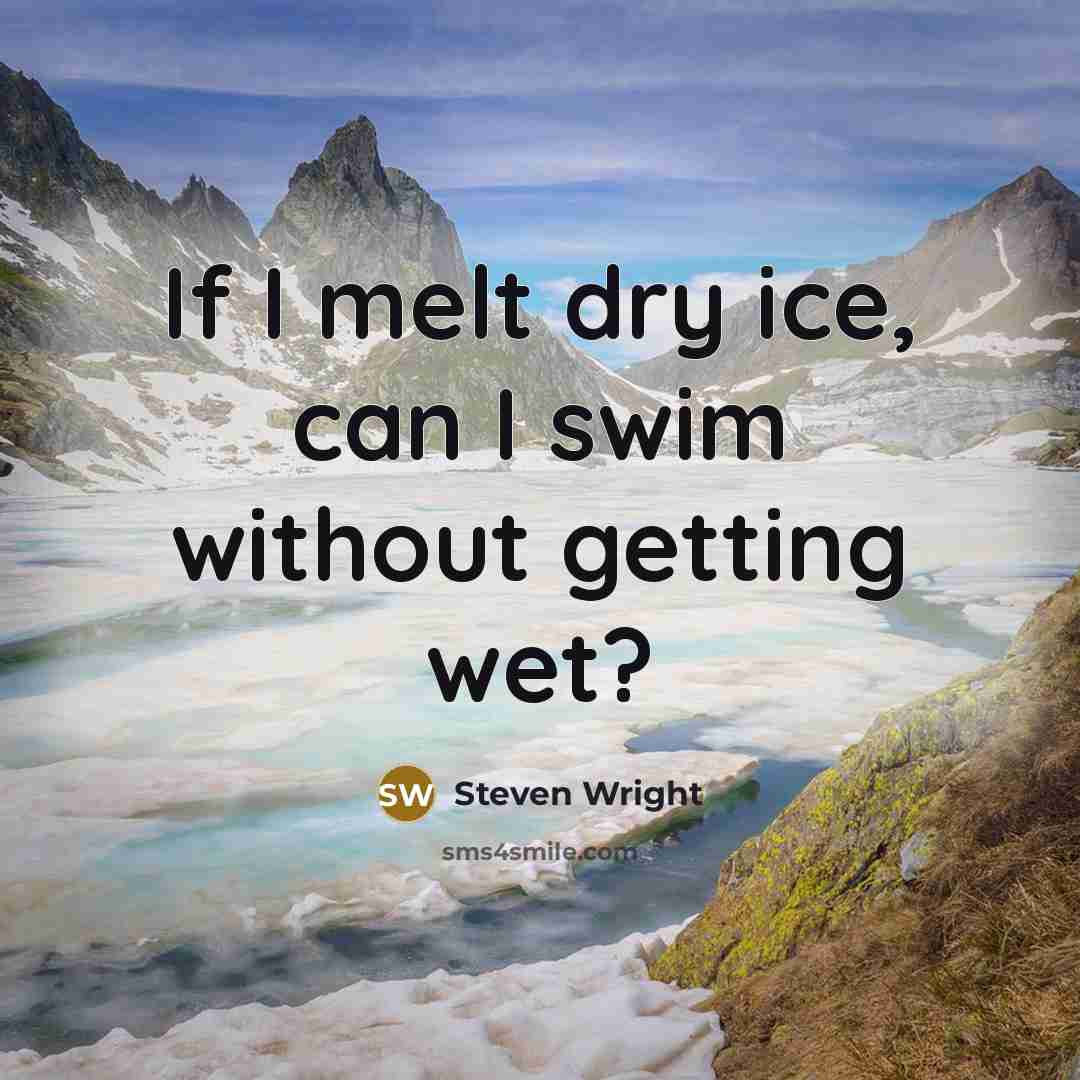 “If I melt dry ice, can I swim without getting…” quote by Steven Wright