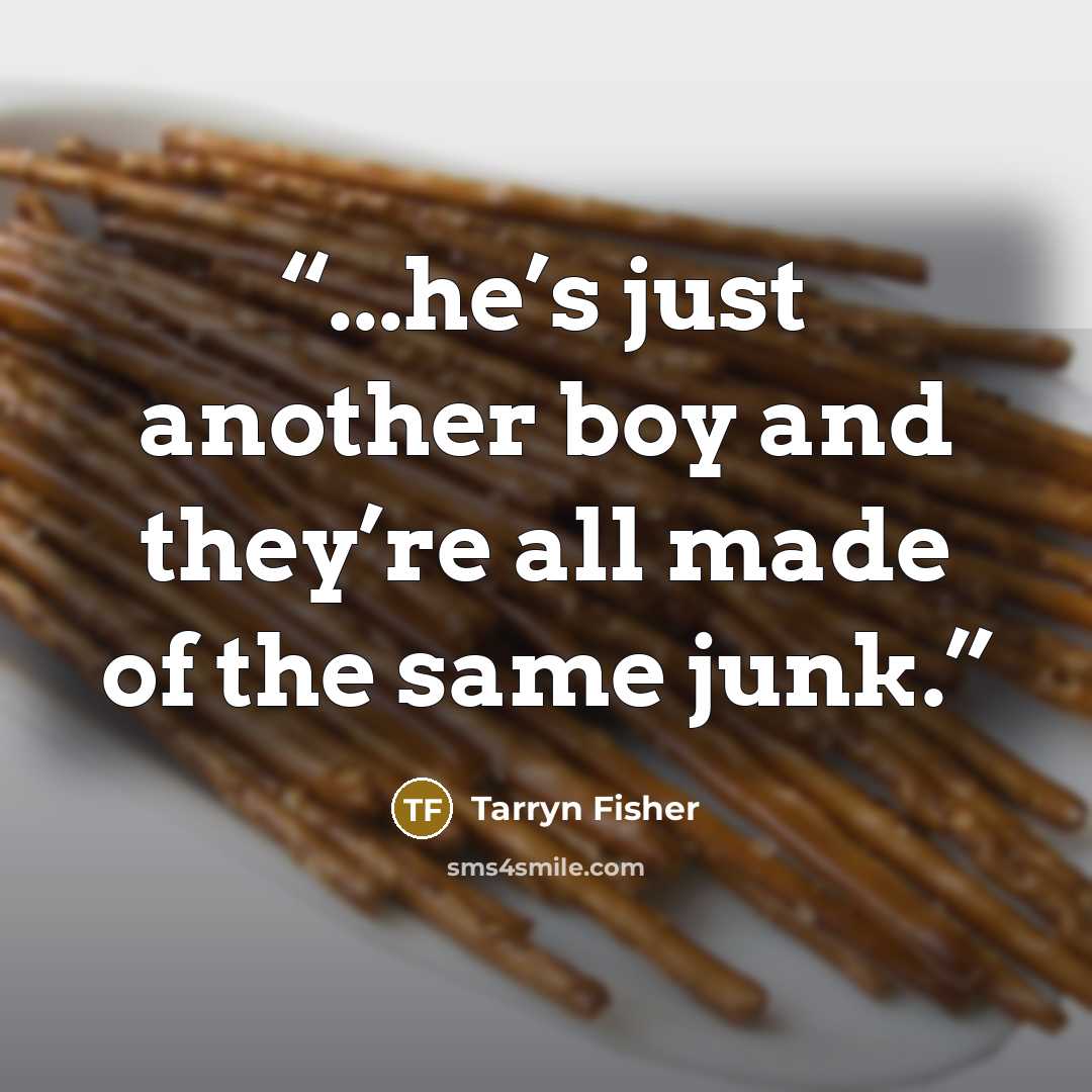 “...he’s just another boy and they’re all made of the same junk.” quote by Tarryn Fisher