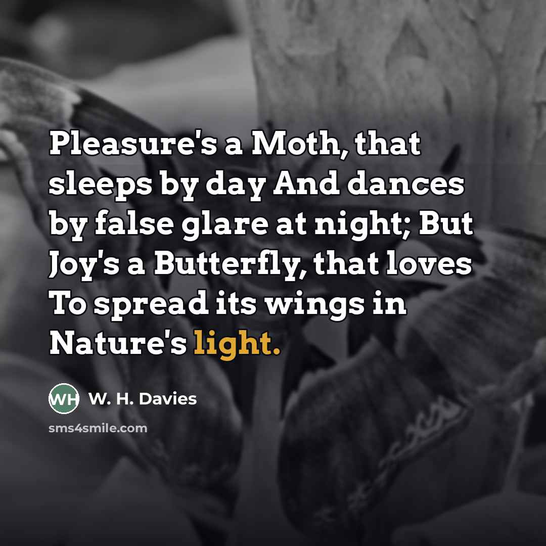 “Pleasure's a Moth, that sleeps by day And dances by…” quote by W. H. Davies