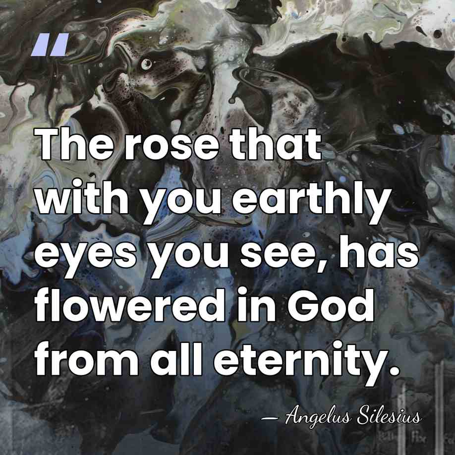 The rose that with you earthly eyes you see, has flowered in&hellip; - Angelus Silesius