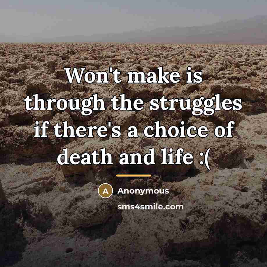 “Won't make is through the struggles if there's a choice…” quote by Anonymous