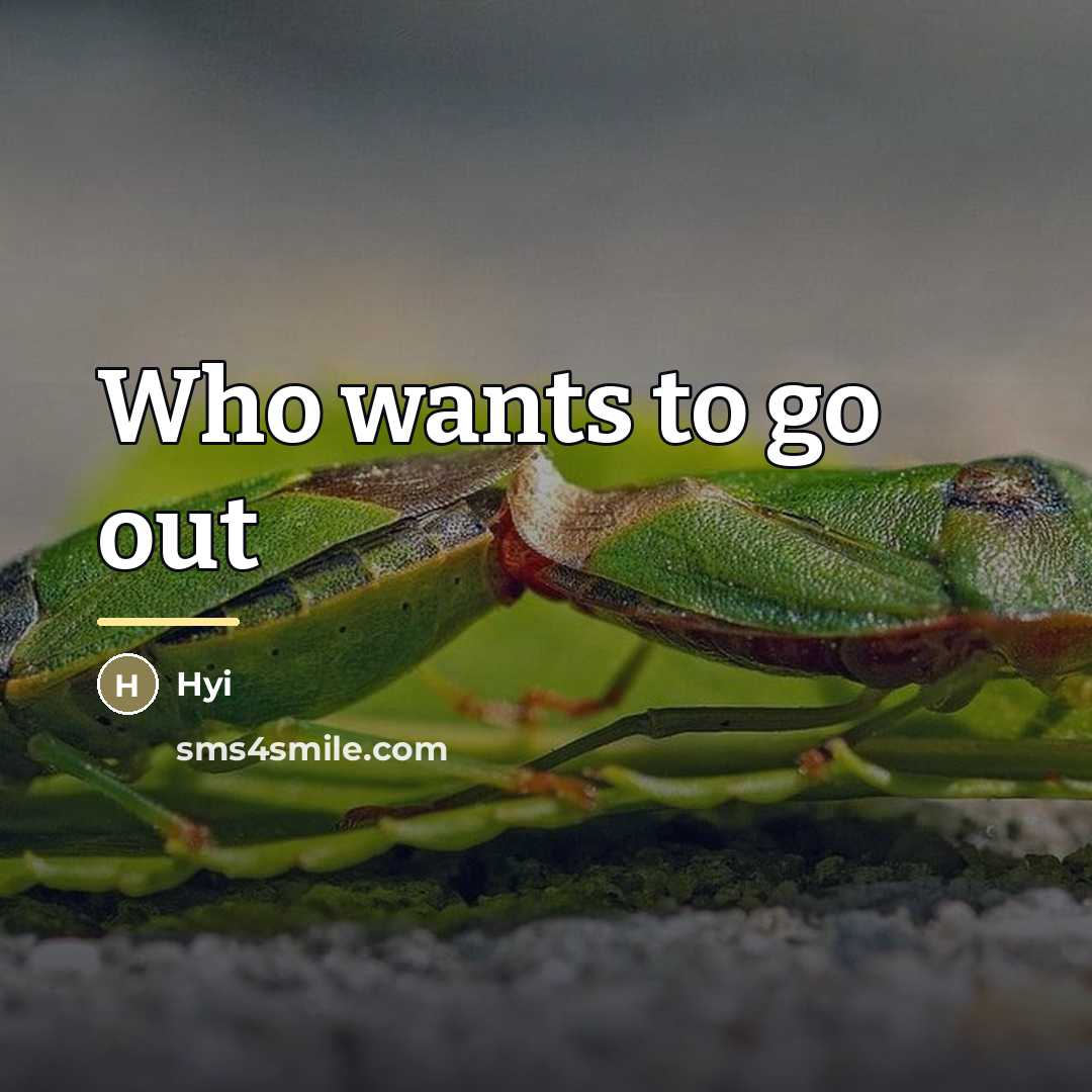 “Who wants to go out…” quote by Hyi