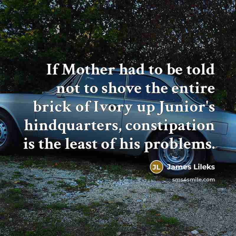 “If Mother had to be told not to shove the…” quote by James Lileks