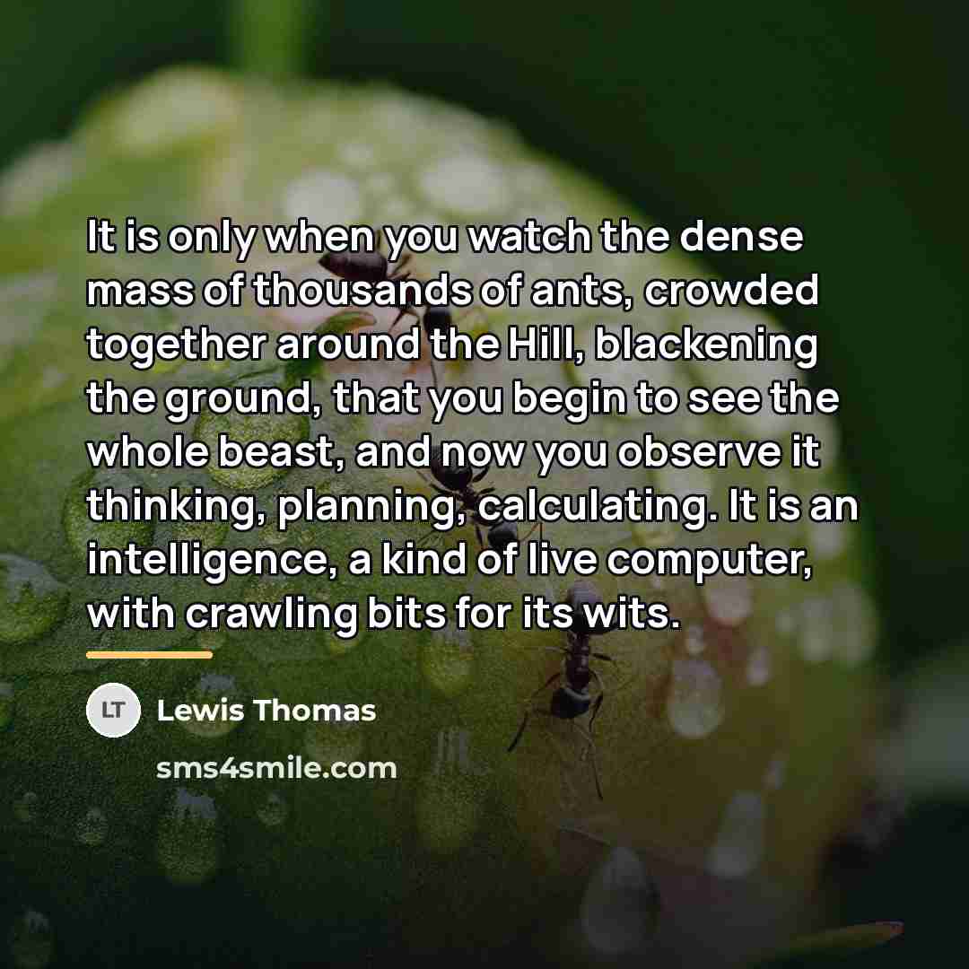 “It is only when you watch the dense mass of…” quote by Lewis Thomas