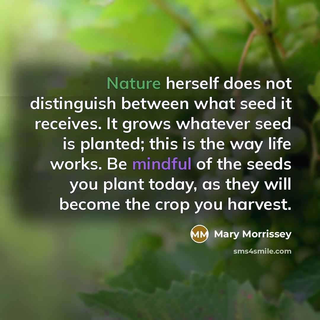 “Nature herself does not distinguish between what seed it receives.…” quote by Mary Morrissey