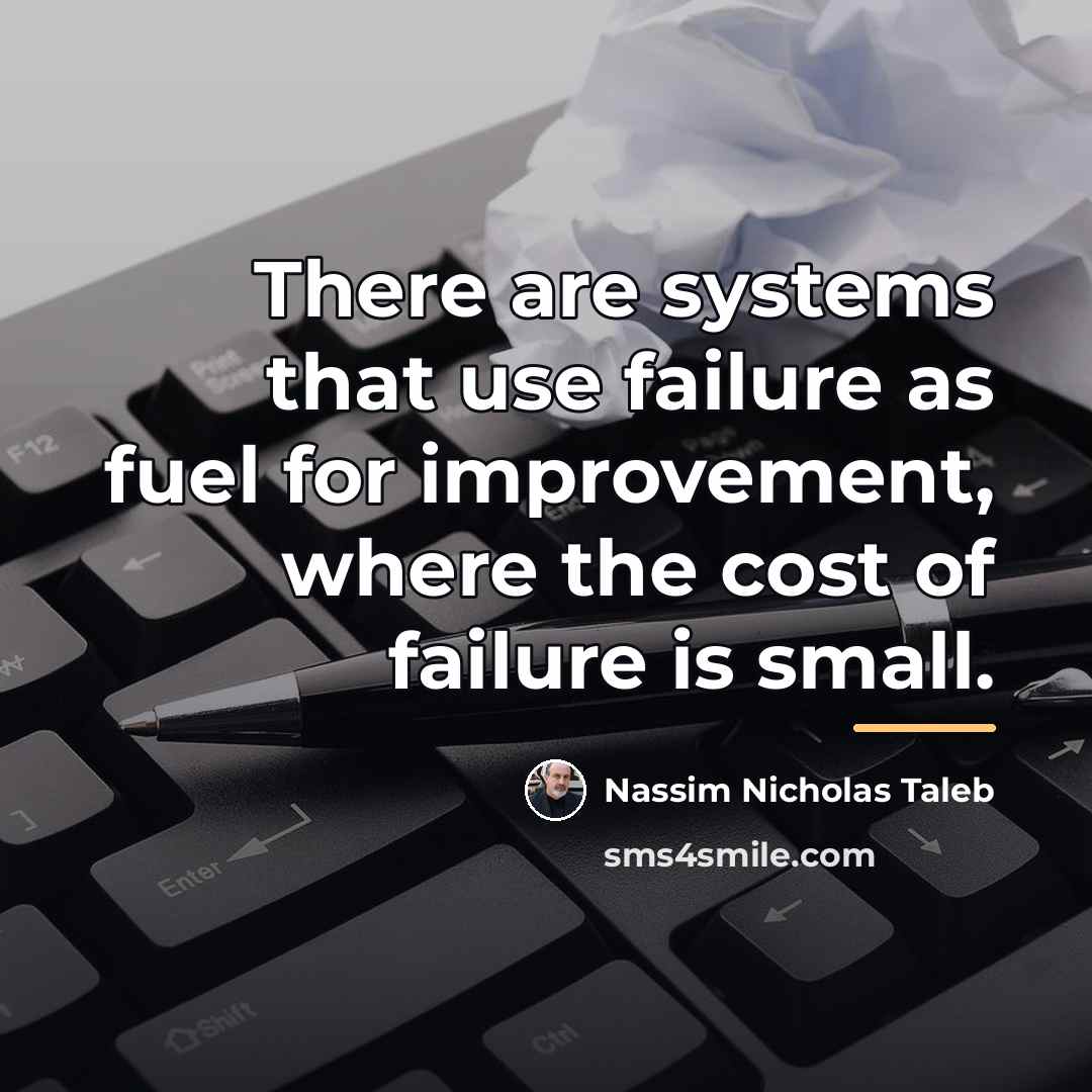 “There are systems that use failure as fuel for improvement,…” quote by Nassim Nicholas Taleb