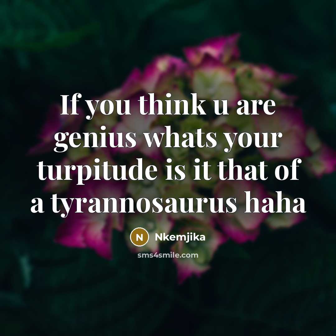 “If you think u are genius whats your turpitude is…” quote by Nkemjika