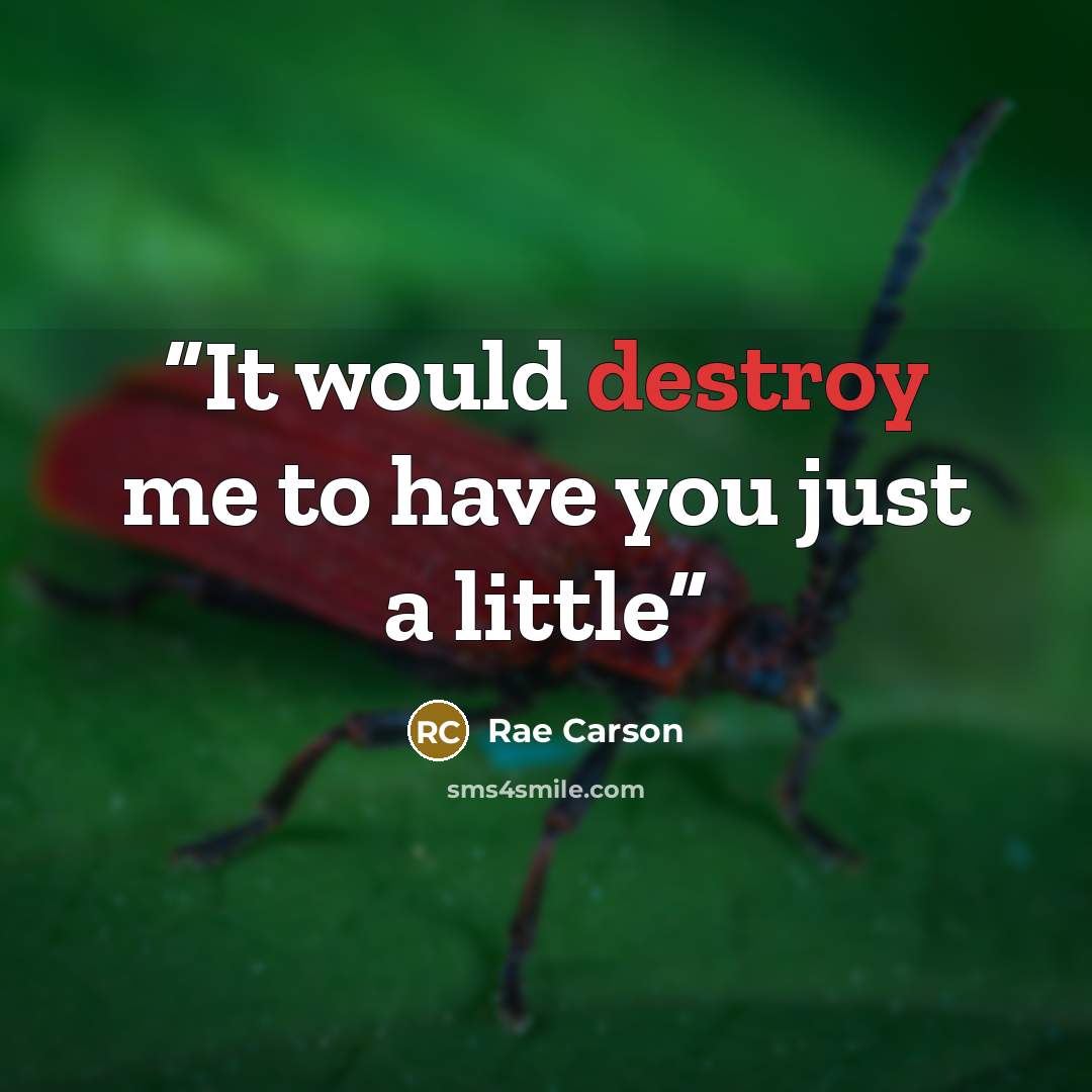 “It would destroy me to have you just a little” quote by Rae Carson