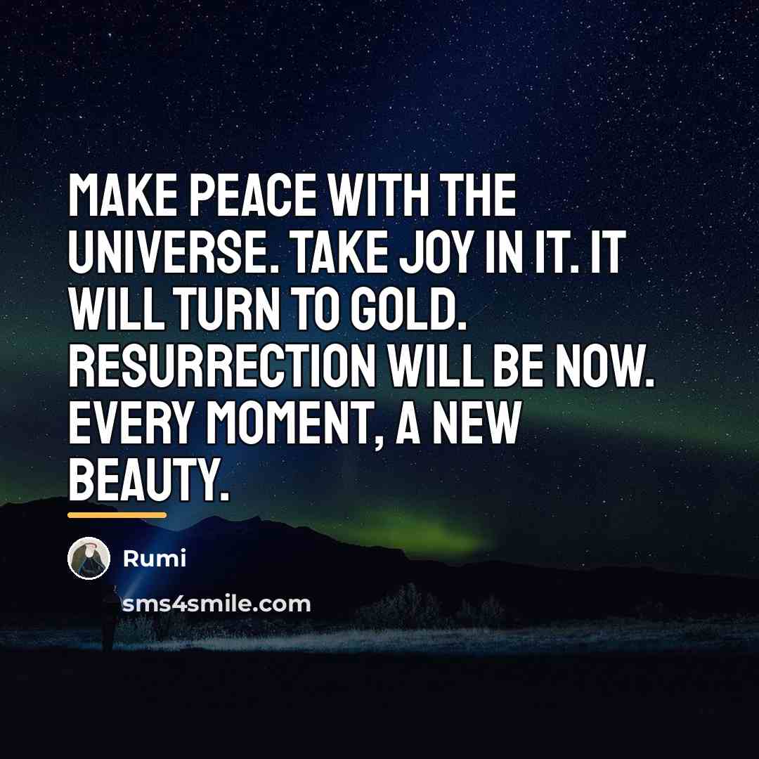 “Make peace with the universe. Take joy in it. It…” quote by Rumi