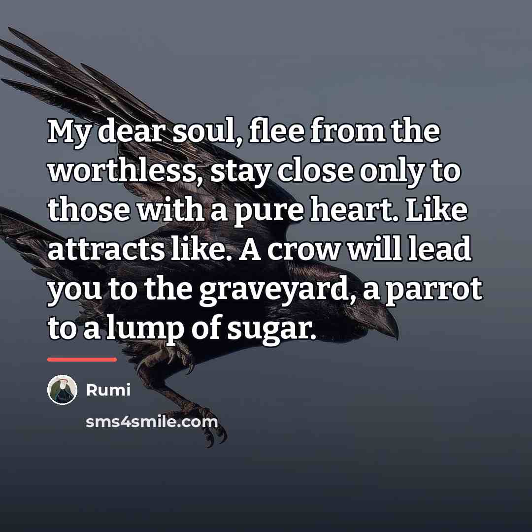 “My dear soul, flee from the worthless, stay close only…” quote by Rumi