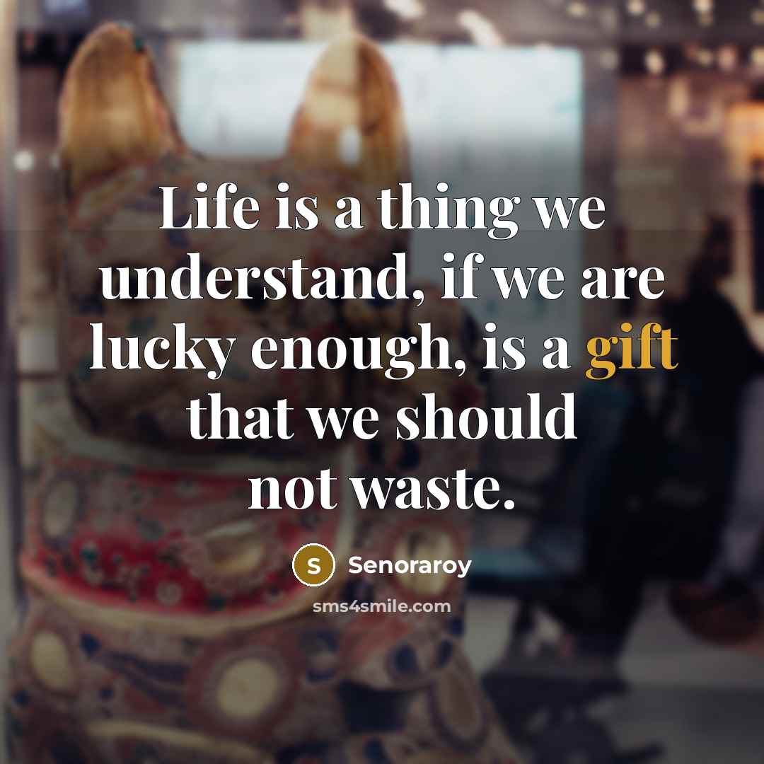 “Life is a thing we understand, if we are lucky enough, is a gift that we should not waste.” quote by Senoraroy