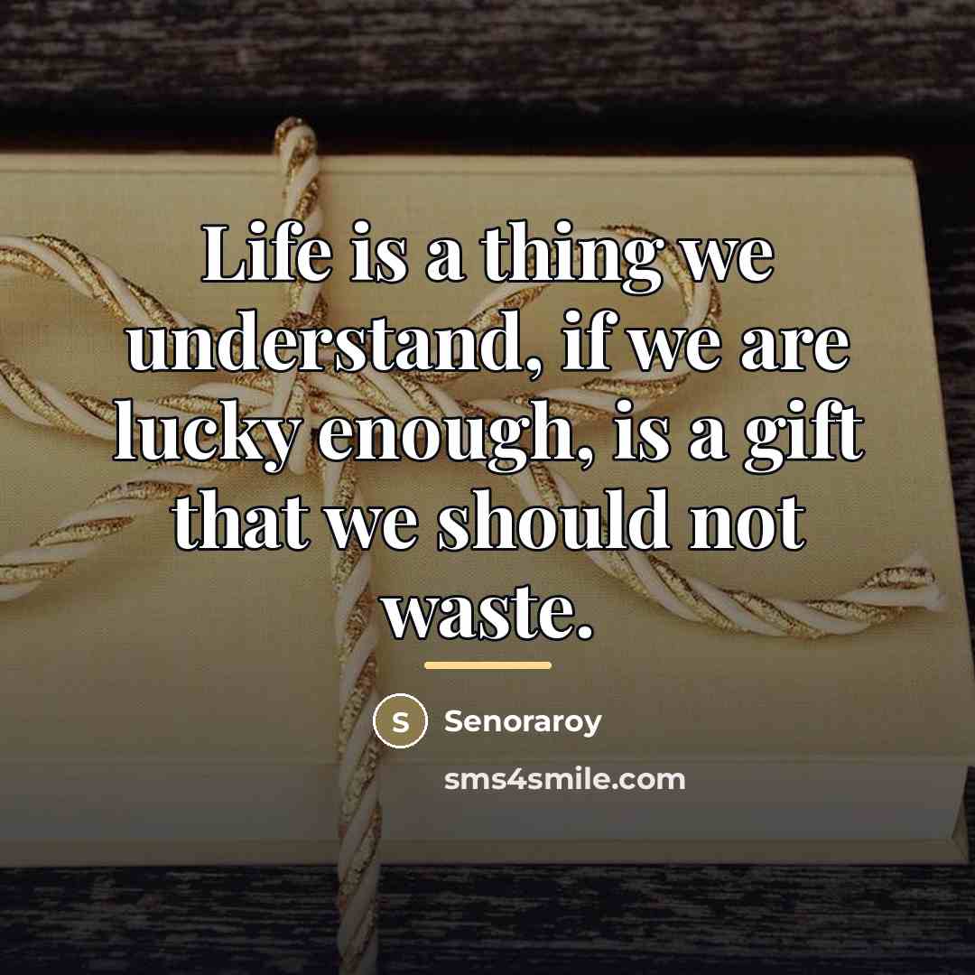 “Life is a thing we understand, if we are lucky…” quote by Senoraroy
