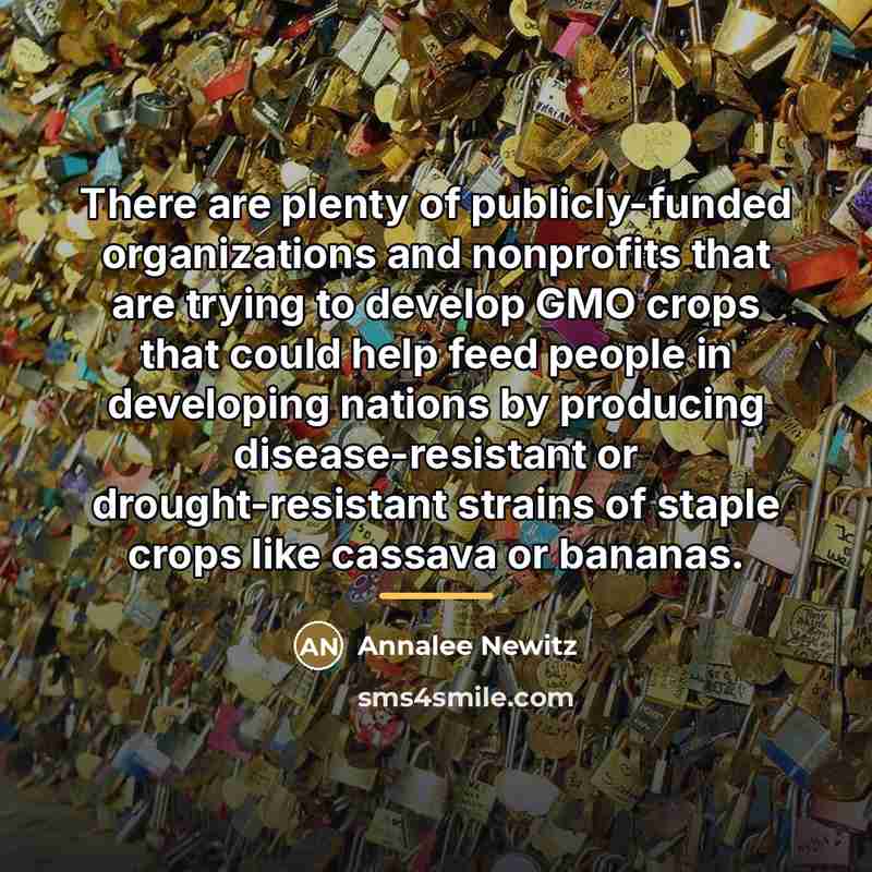 “There are plenty of publicly-funded organizations and nonprofits that are…” quote by Annalee Newitz
