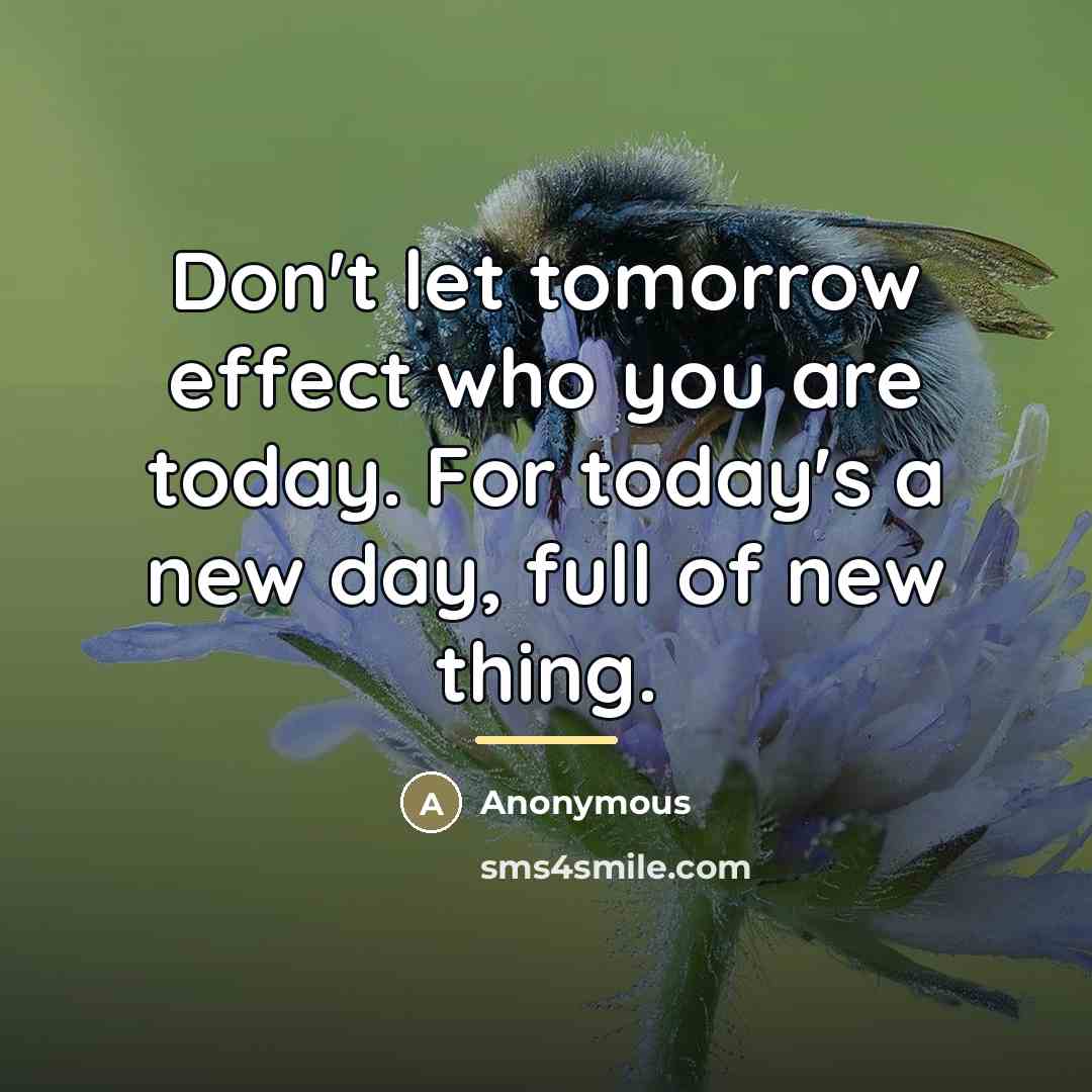 “Don't let tomorrow effect who you are today. For today's…” quote by Anonymous