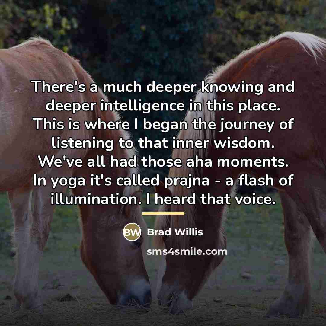 “There's a much deeper knowing and deeper intelligence in this…” quote by Brad Willis