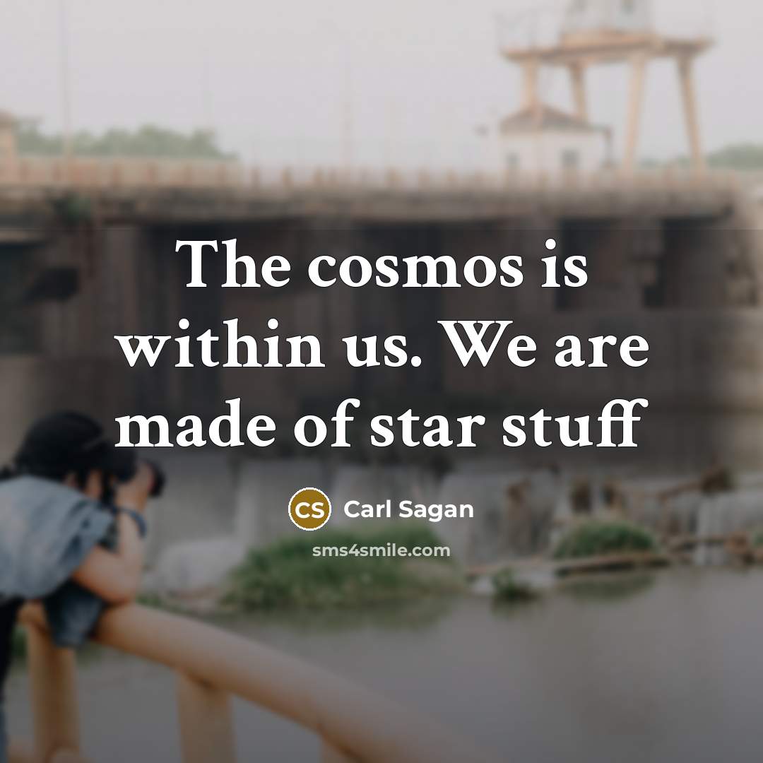 “The cosmos is within us. We are made of star…” quote by Carl Sagan