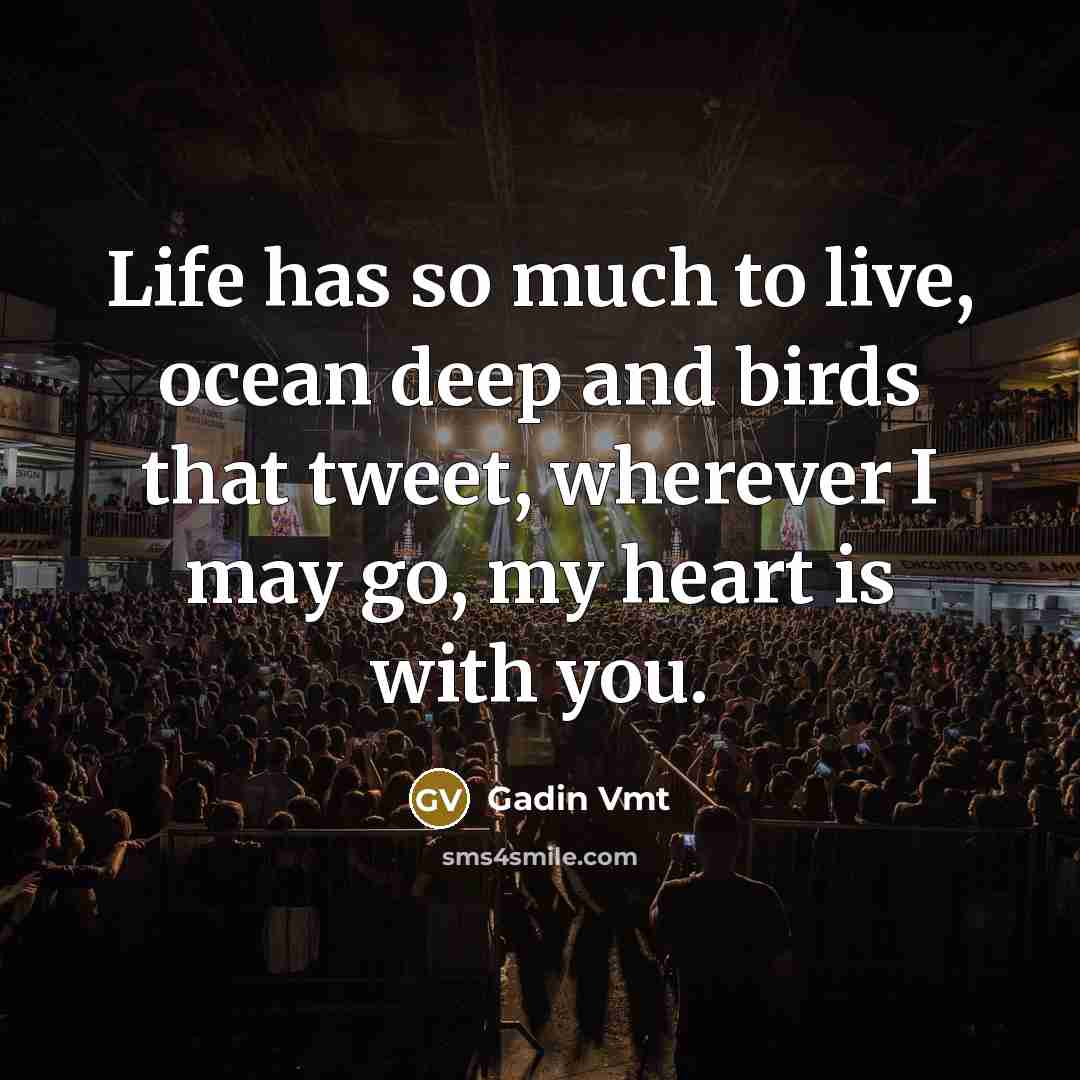 “Life has so much to live, ocean deep and birds…” quote by Gadin Vmt