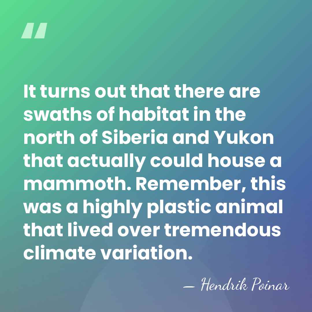 It turns out that there are swaths of habitat in the north&hellip; - Hendrik Poinar