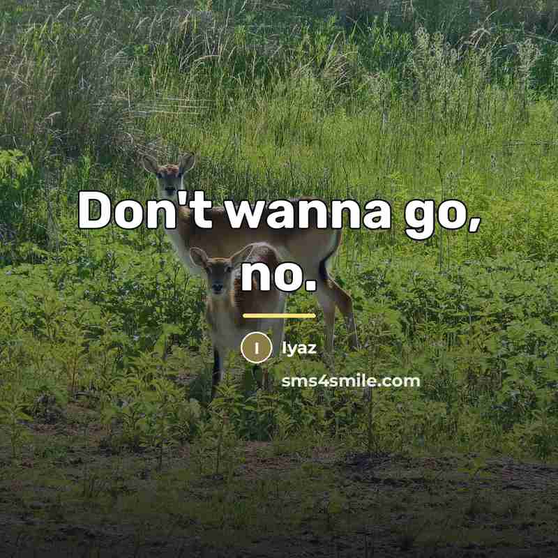 “Don't wanna go, no.…” quote by Iyaz