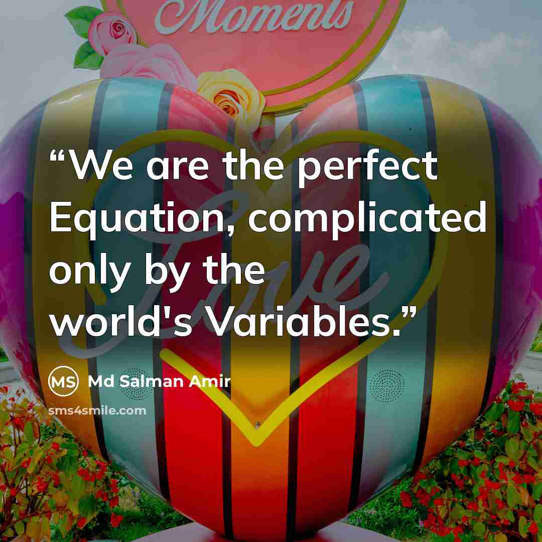 “We are the perfect Equation, complicated only by the world's Variables.” quote by Md Salman Amir