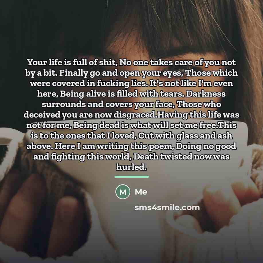 “Your life is full of shit, No one takes care…” quote by Me