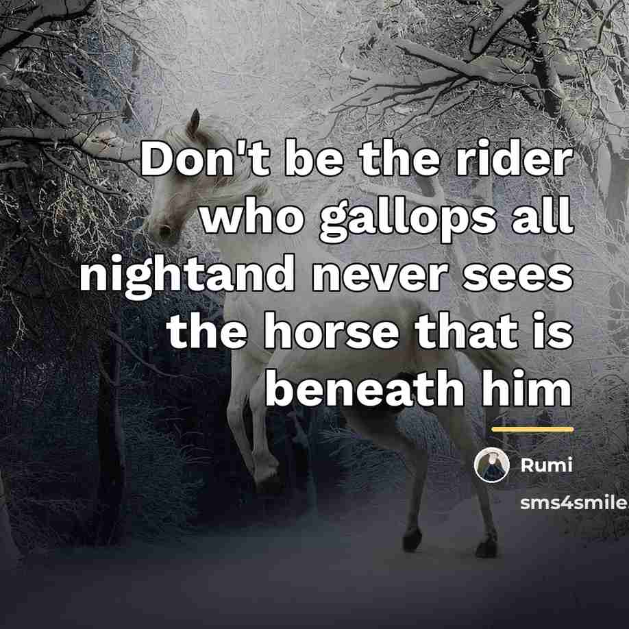 “Don't be the rider who gallops all nightand never sees…” quote by Rumi