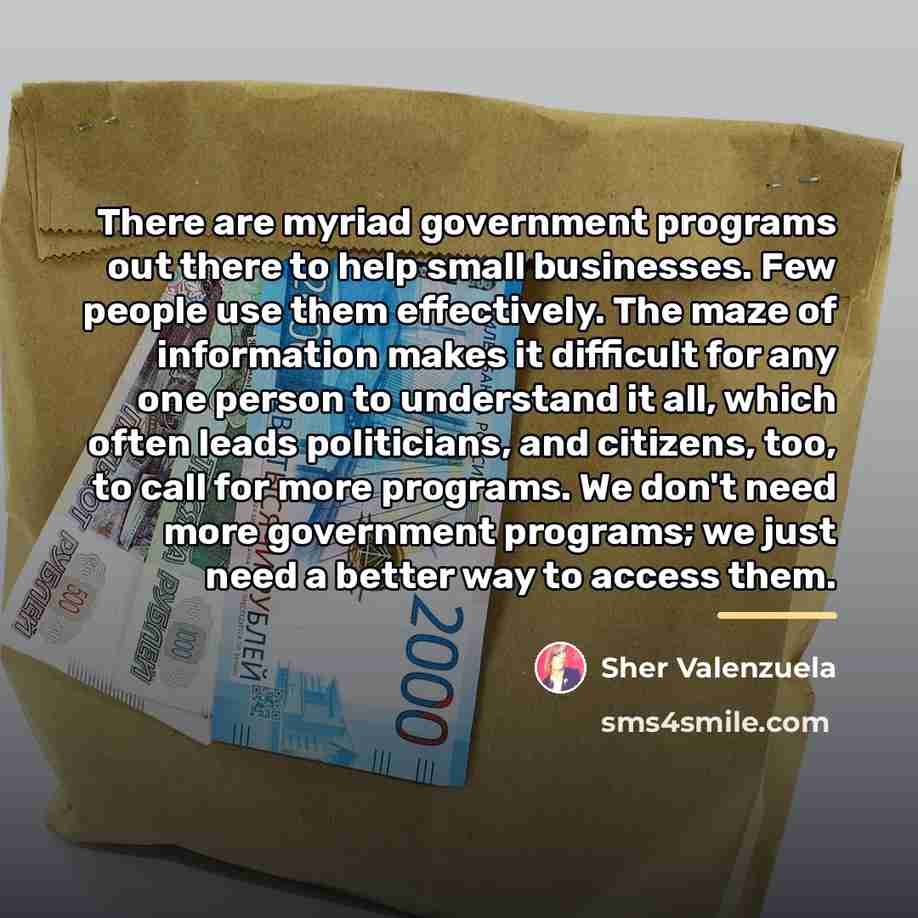 “There are myriad government programs out there to help small…” quote by Sher Valenzuela