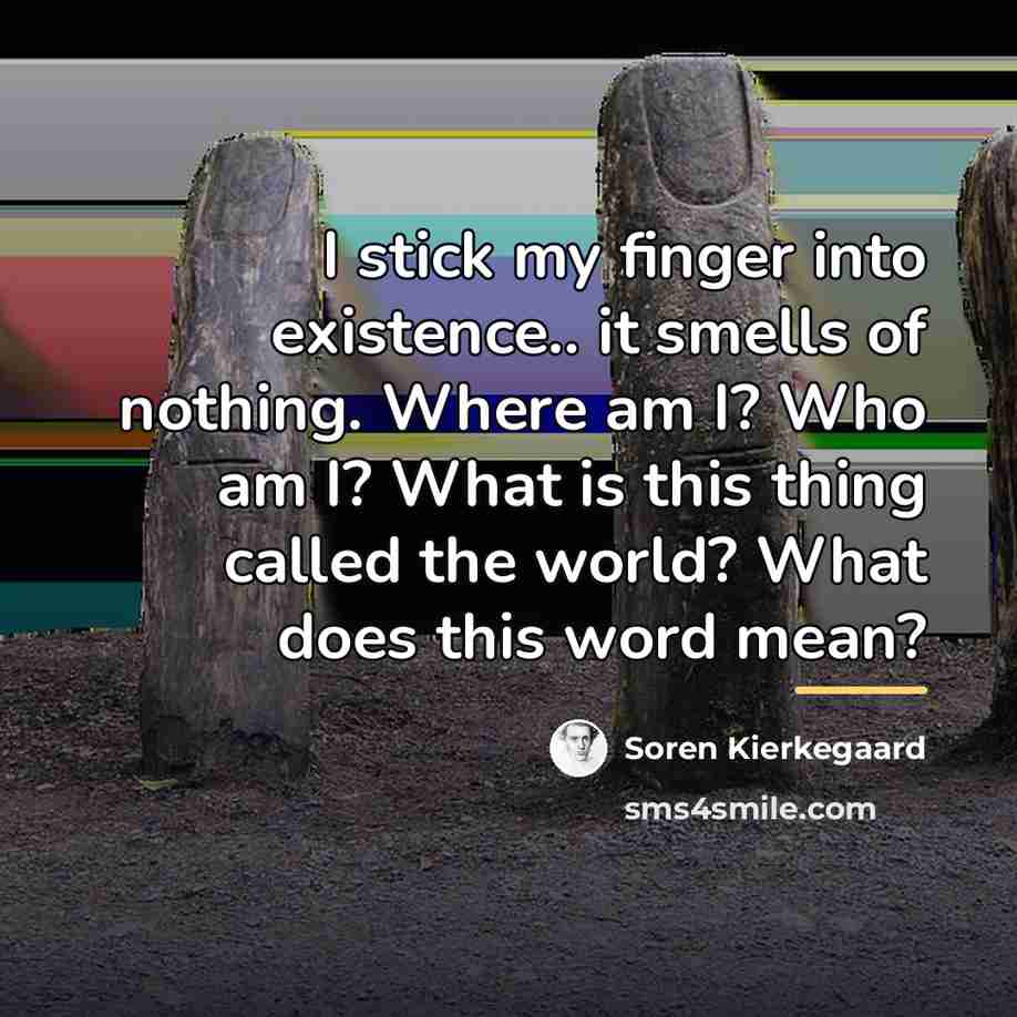 “I stick my finger into existence.. it smells of nothing.…” quote by Soren Kierkegaard