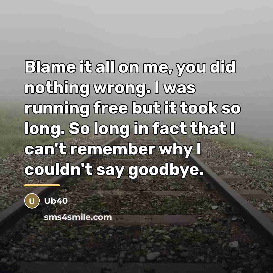 “Blame it all on me, you did nothing wrong. I…” quote by Ub40