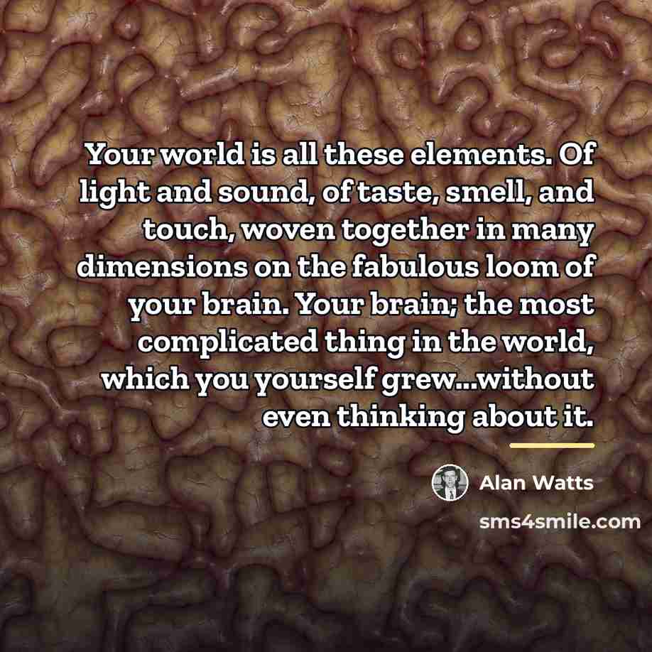 “Your world is all these elements. Of light and sound,…” quote by Alan Watts