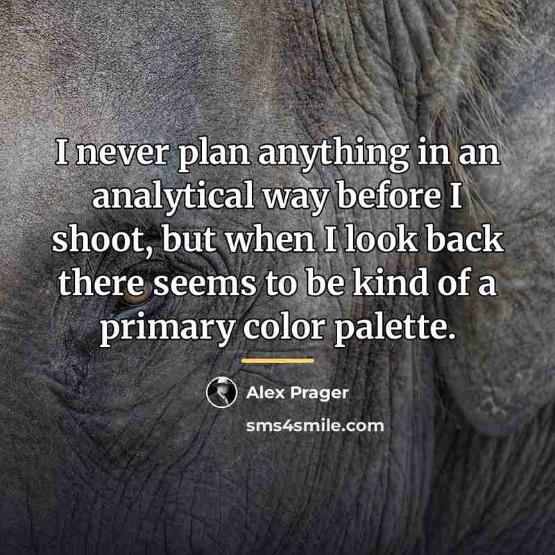 “I never plan anything in an analytical way before I…” quote by Alex Prager
