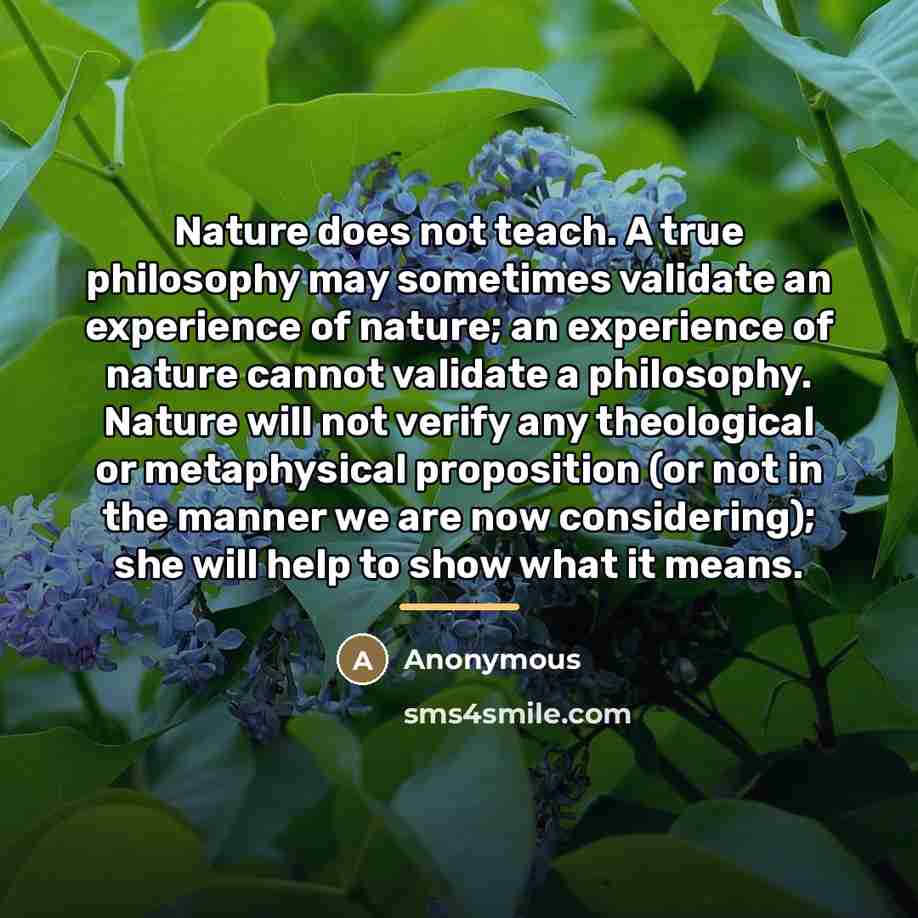 “Nature does not teach. A true philosophy may sometimes validate…” quote by Anonymous