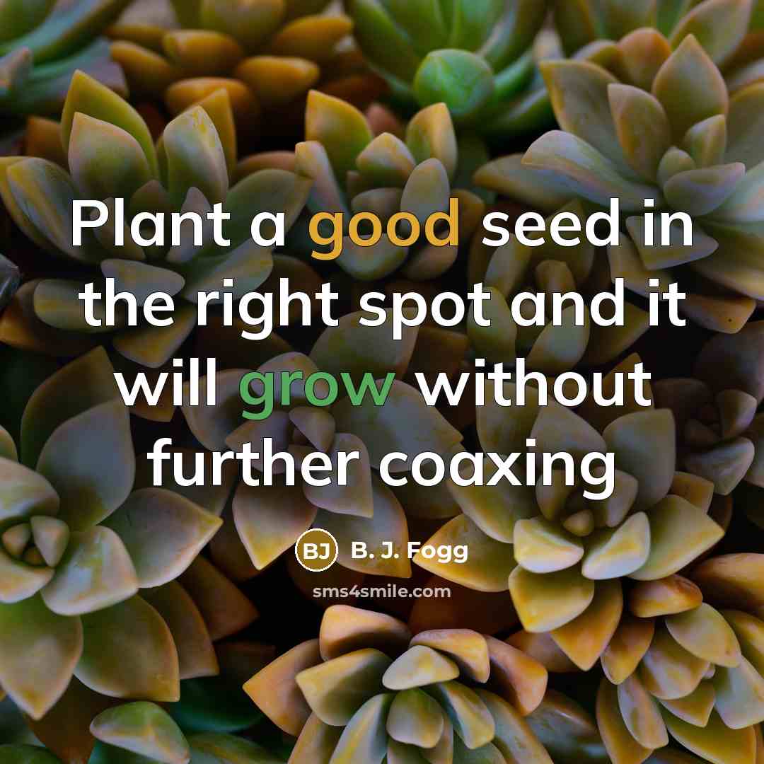“Plant a good seed in the right spot and it…” quote by B. J. Fogg