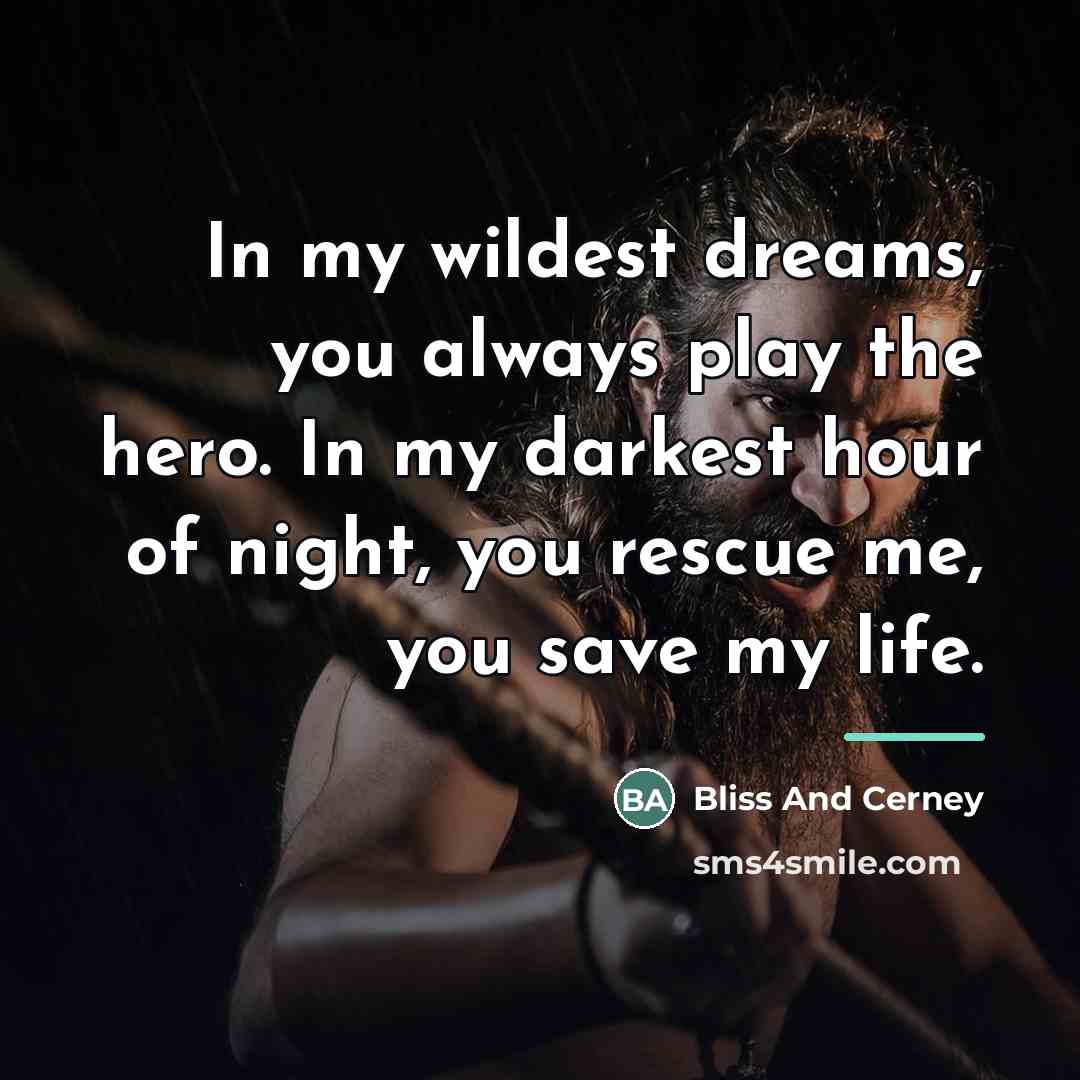 “In my wildest dreams, you always play the hero. In…” quote by Bliss And Cerney