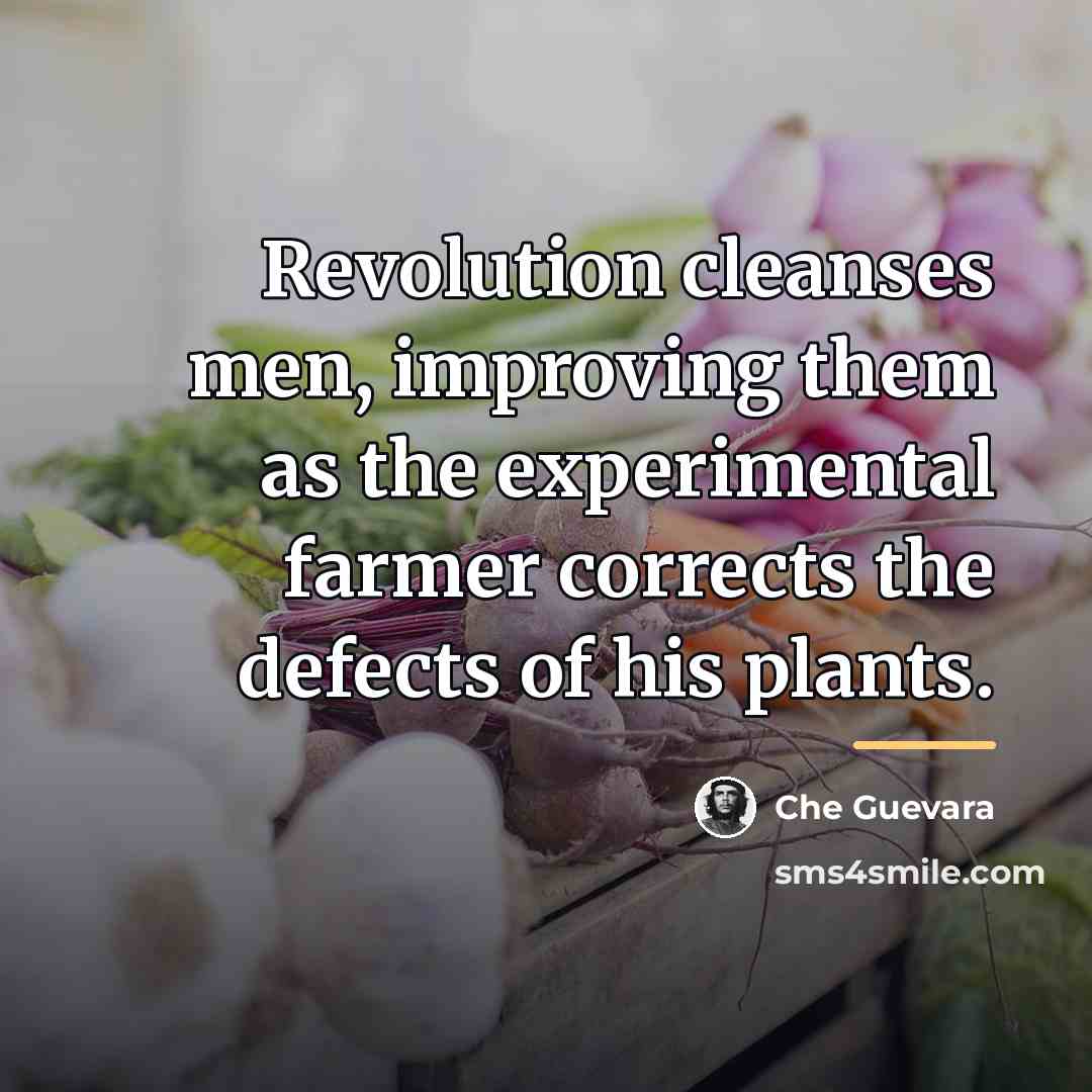 “Revolution cleanses men, improving them as the experimental farmer corrects…” quote by Che Guevara