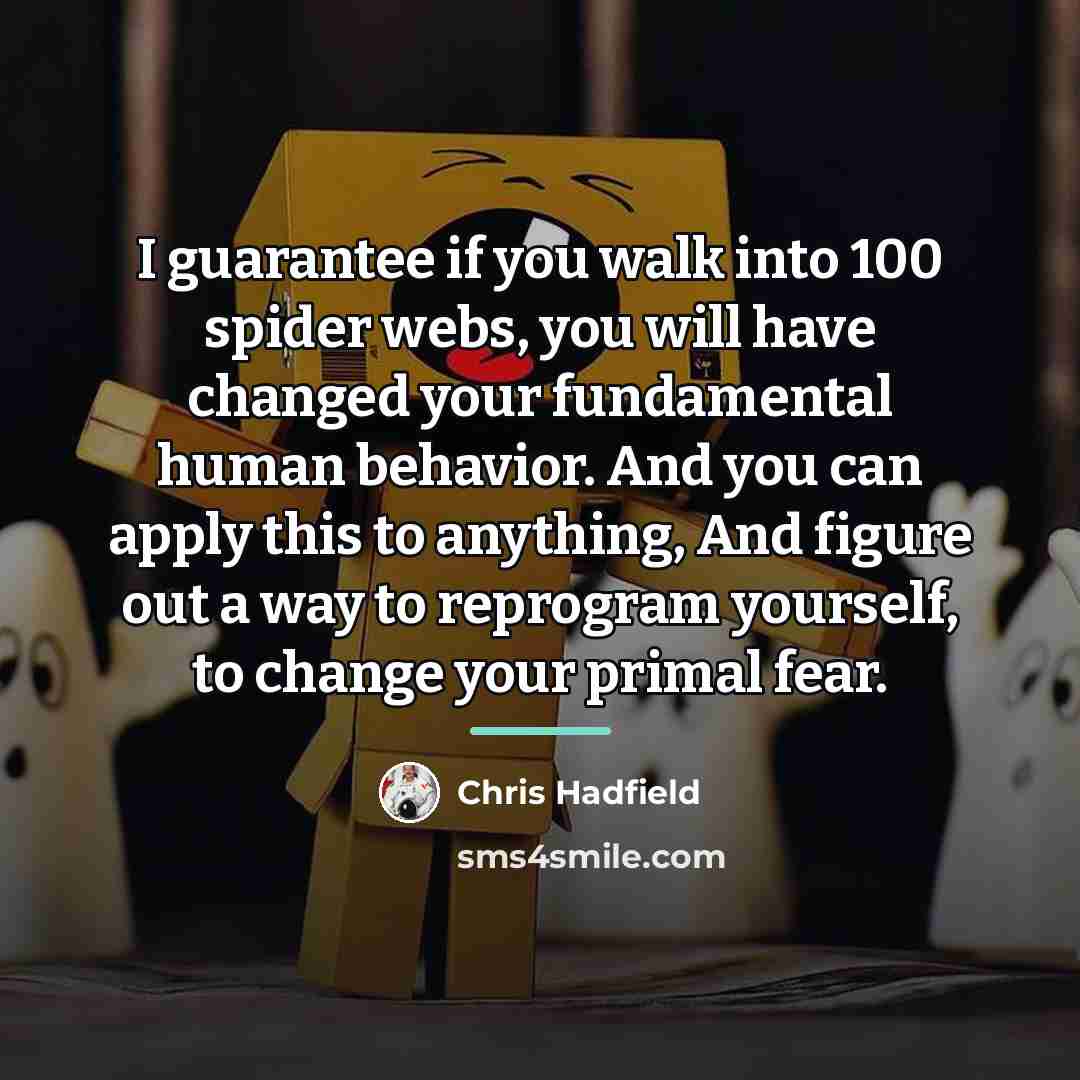 “I guarantee if you walk into 100 spider webs, you…” quote by Chris Hadfield