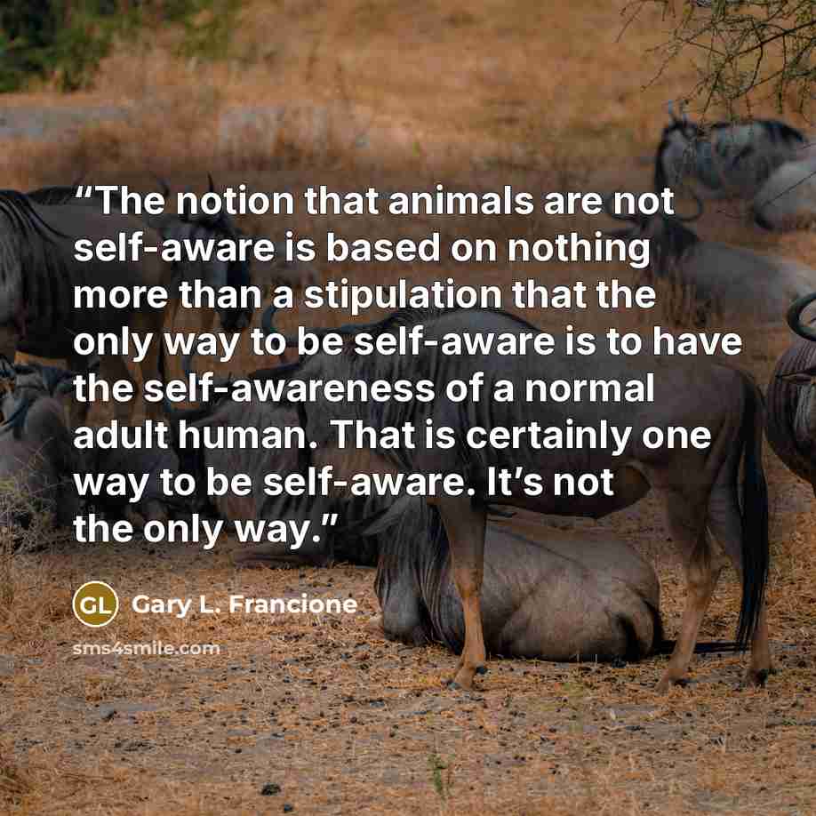 “The notion that animals are not self-aware is based on nothing more than a stipulation that the only way to be self-aware is to have the self-awareness of a normal adult human. That is certainly one way to be self-aware. It’s not the only way.” quote by Gary L. Francione